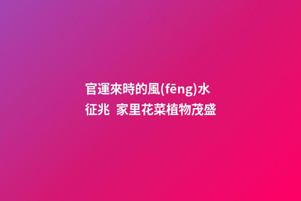 官運來時的風(fēng)水征兆  家里花菜植物茂盛